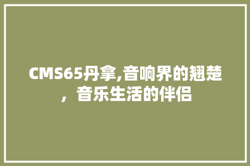 CMS65丹拿,音响界的翘楚，音乐生活的伴侣 GoogleSEO
