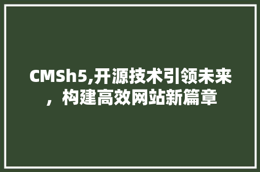 CMSh5,开源技术引领未来，构建高效网站新篇章 百度SEO