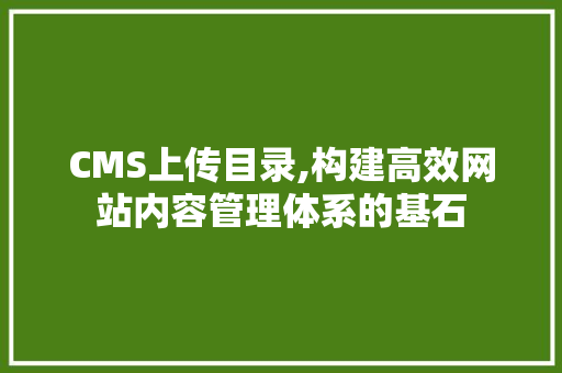 CMS上传目录,构建高效网站内容管理体系的基石 搜狗SEO