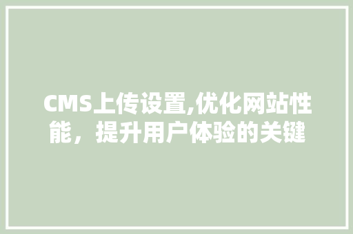 CMS上传设置,优化网站性能，提升用户体验的关键 神马SEO