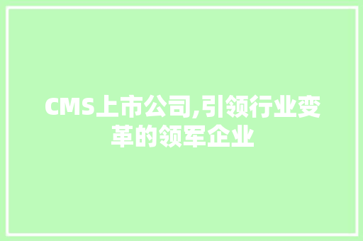 CMS上市公司,引领行业变革的领军企业 必应SEO