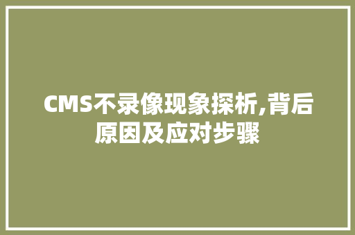 CMS不录像现象探析,背后原因及应对步骤 必应SEO