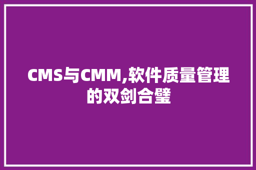 CMS与CMM,软件质量管理的双剑合璧 GoogleSEO