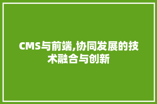 CMS与前端,协同发展的技术融合与创新 百度SEO