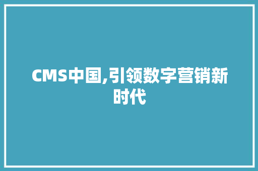 CMS中国,引领数字营销新时代 GoogleSEO