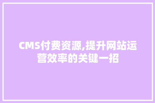 CMS付费资源,提升网站运营效率的关键一招 必应SEO