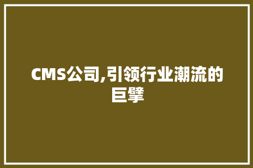 CMS公司,引领行业潮流的巨擘 百度SEO