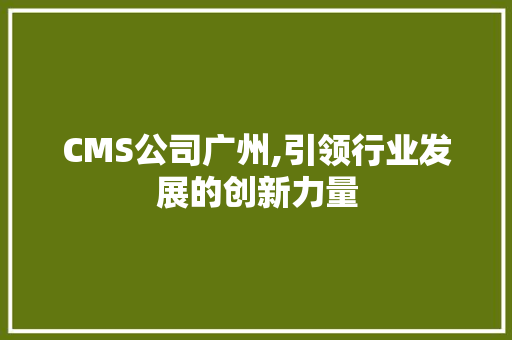 CMS公司广州,引领行业发展的创新力量 百度SEO