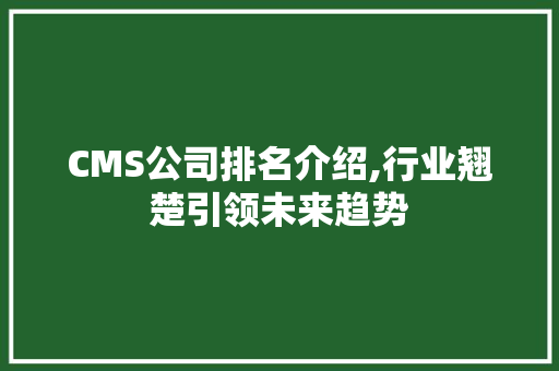 CMS公司排名介绍,行业翘楚引领未来趋势 GoogleSEO