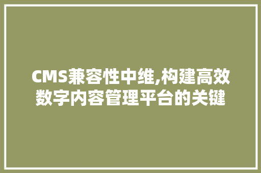 CMS兼容性中维,构建高效数字内容管理平台的关键 百度SEO