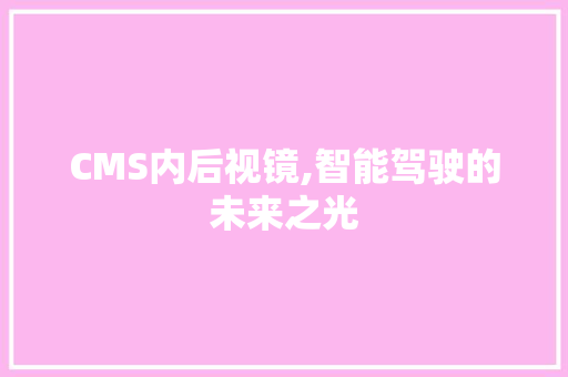 CMS内后视镜,智能驾驶的未来之光 神马SEO