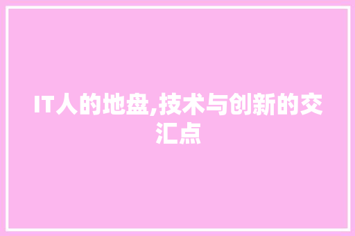 IT人的地盘,技术与创新的交汇点 百度SEO