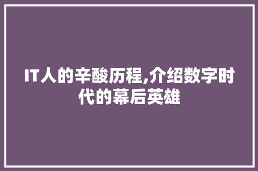 IT人的辛酸历程,介绍数字时代的幕后英雄