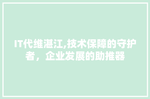 IT代维湛江,技术保障的守护者，企业发展的助推器