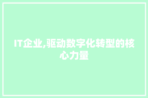 IT企业,驱动数字化转型的核心力量 GoogleSEO