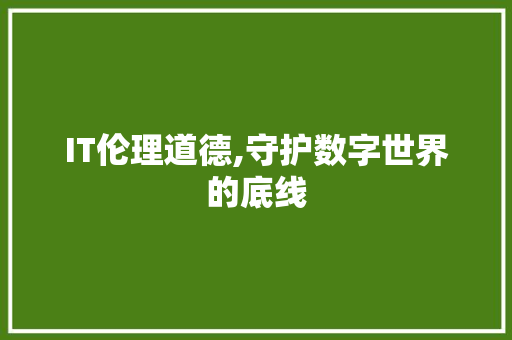 IT伦理道德,守护数字世界的底线