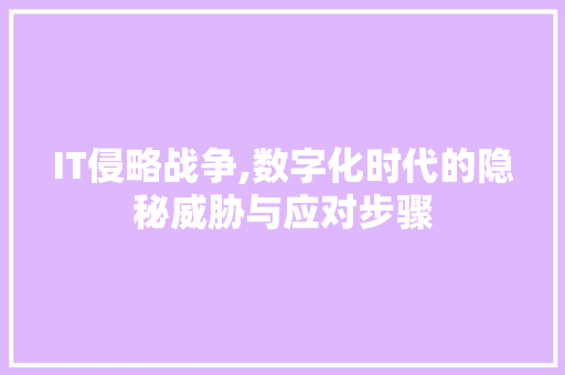 IT侵略战争,数字化时代的隐秘威胁与应对步骤