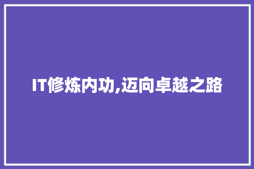 IT修炼内功,迈向卓越之路