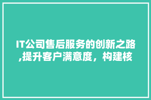 IT公司售后服务的创新之路,提升客户满意度，构建核心竞争力