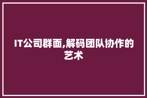 IT公司群面,解码团队协作的艺术