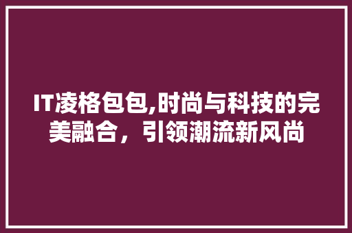IT凌格包包,时尚与科技的完美融合，引领潮流新风尚 GoogleSEO