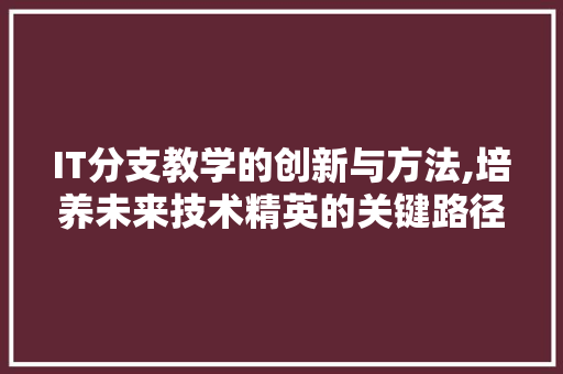 IT分支教学的创新与方法,培养未来技术精英的关键路径