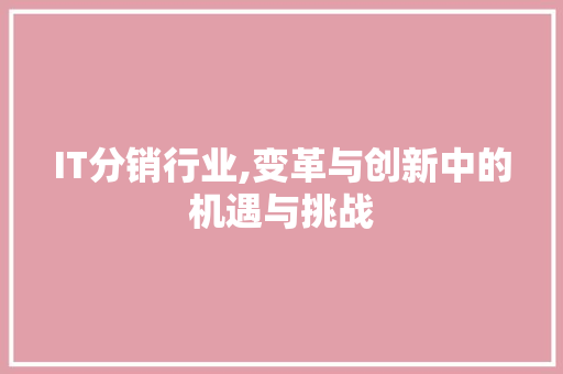 IT分销行业,变革与创新中的机遇与挑战