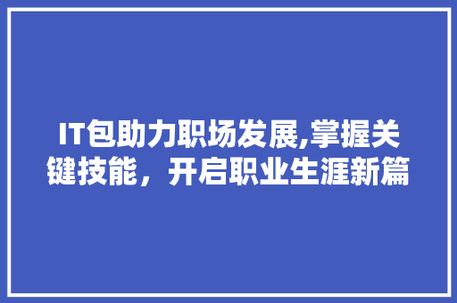 IT包助力职场发展,掌握关键技能，开启职业生涯新篇章