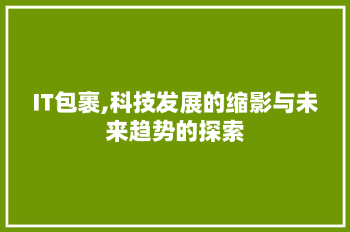 IT包裹,科技发展的缩影与未来趋势的探索