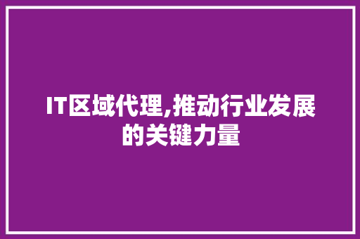 IT区域代理,推动行业发展的关键力量