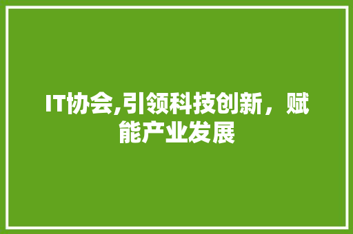 IT协会,引领科技创新，赋能产业发展