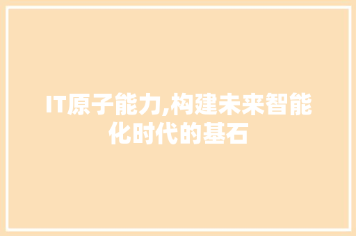 IT原子能力,构建未来智能化时代的基石