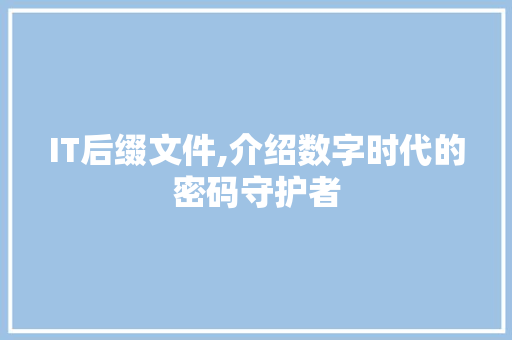 IT后缀文件,介绍数字时代的密码守护者