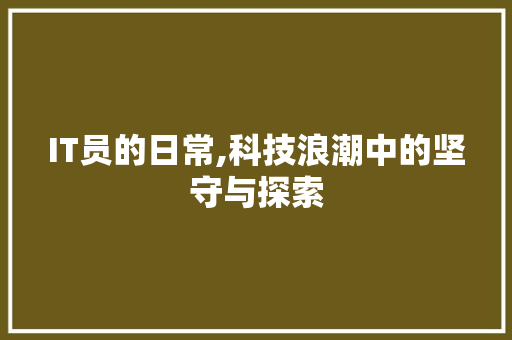 IT员的日常,科技浪潮中的坚守与探索