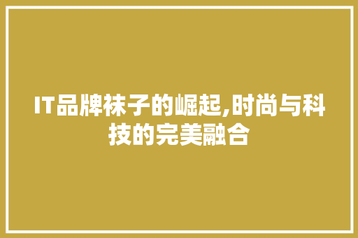 IT品牌袜子的崛起,时尚与科技的完美融合