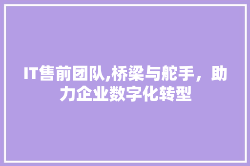 IT售前团队,桥梁与舵手，助力企业数字化转型