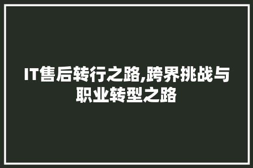 IT售后转行之路,跨界挑战与职业转型之路 GoogleSEO