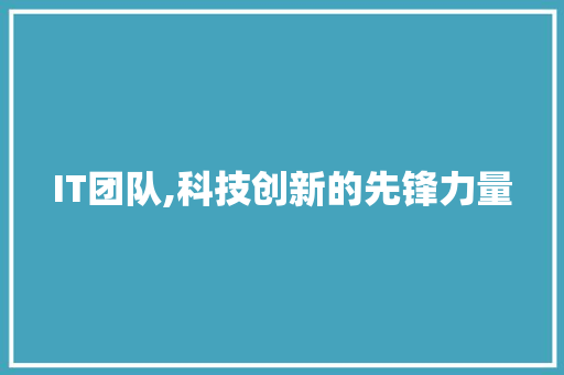 IT团队,科技创新的先锋力量