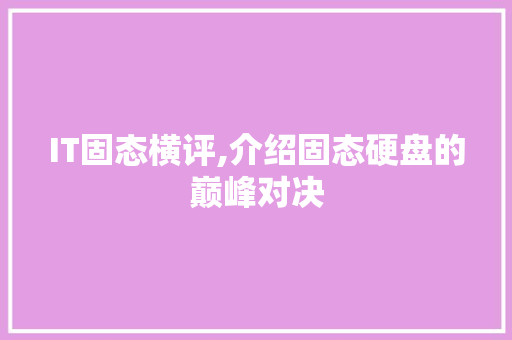 IT固态横评,介绍固态硬盘的巅峰对决 必应SEO