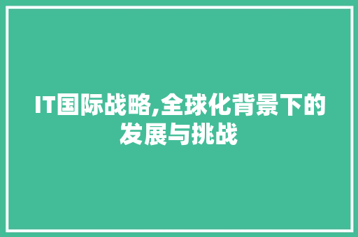 IT国际战略,全球化背景下的发展与挑战