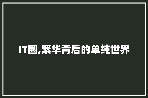 IT圈,繁华背后的单纯世界