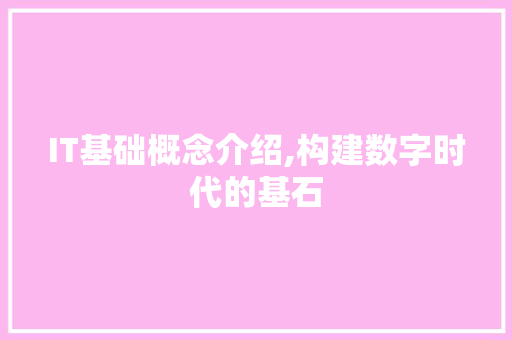 IT基础概念介绍,构建数字时代的基石