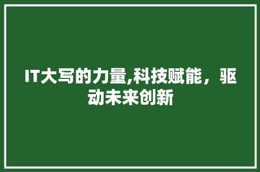 IT大写的力量,科技赋能，驱动未来创新