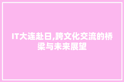 IT大连赴日,跨文化交流的桥梁与未来展望