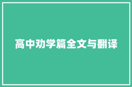 IT女包盒子,时尚与科技的完美融合，演绎现代女性的魅力 百度SEO