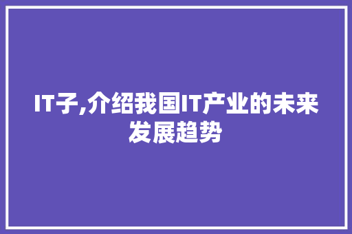 IT子,介绍我国IT产业的未来发展趋势