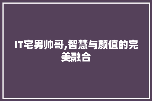 IT宅男帅哥,智慧与颜值的完美融合 GoogleSEO