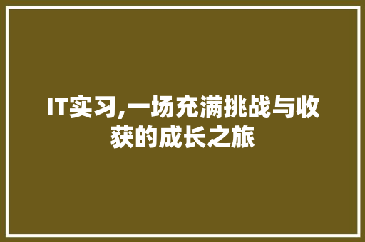 IT实习,一场充满挑战与收获的成长之旅 必应SEO