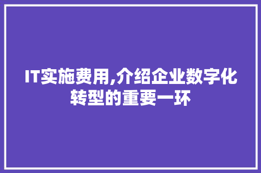 IT实施费用,介绍企业数字化转型的重要一环