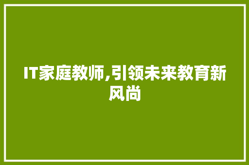 IT家庭教师,引领未来教育新风尚 GoogleSEO
